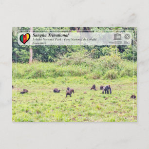 UNESCO WHS - Sangha Trinational - Lobéké Briefkaart