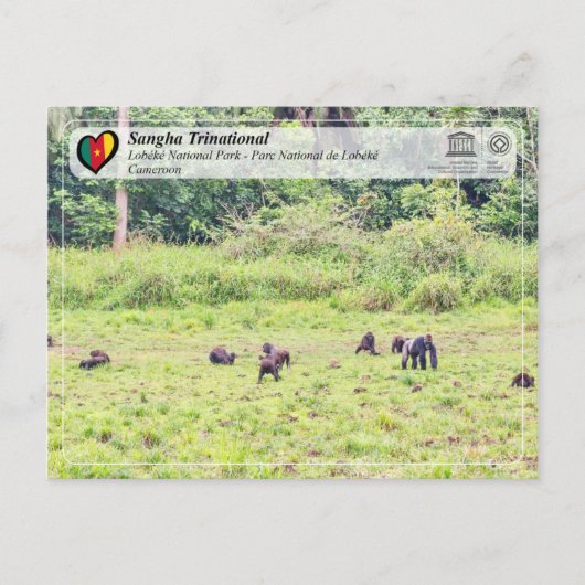 UNESCO WHS - Sangha Trinational - Lobéké Briefkaart (Voorkant)