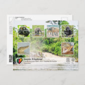 UNESCO WHS - Sangha Trinational - Lobéké Briefkaart (Voorkant / Achterkant)