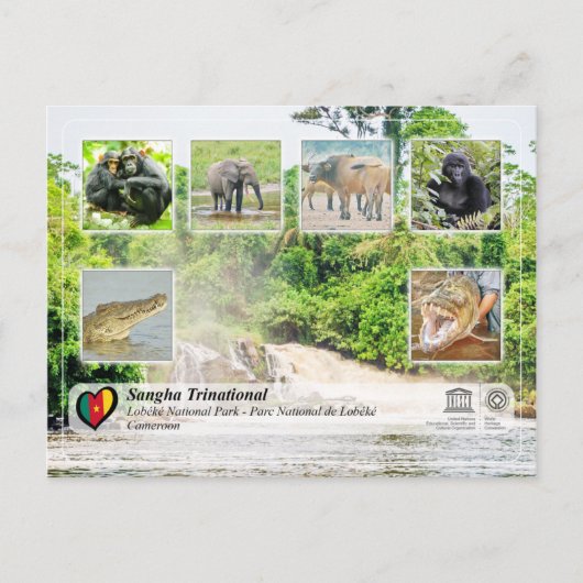 UNESCO WHS - Sangha Trinational - Lobéké Briefkaart (Voorkant)