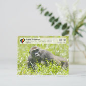 UNESCO WHS - Sangha Trinational - Lobéké Briefkaart (Staand voorkant)