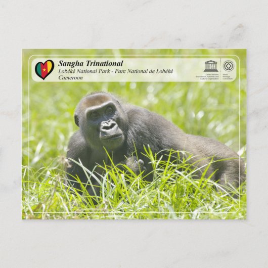 UNESCO WHS - Sangha Trinational - Lobéké Briefkaart (Voorkant)