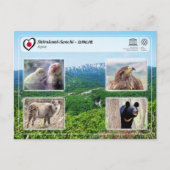 UNESCO WHS - Shirakami-Sanchi - 白神山地 Briefkaart (Voorkant)