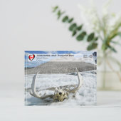 UNESCO WHS - Tatshenshini-Alsek Provincial Park Briefkaart (Staand voorkant)