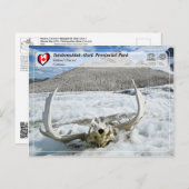 UNESCO WHS - Tatshenshini-Alsek Provincial Park Briefkaart (Voorkant / Achterkant)