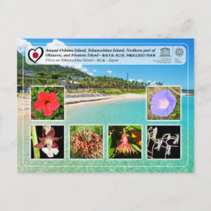 UNESCO WHS - Tokunoshima Island - 徳 之 島 - Flora Briefkaart