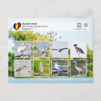 UNESCO WHS - Vogels in de Donaudelta Briefkaart