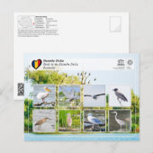 UNESCO WHS - Vogels in de Donaudelta Briefkaart (Voorkant / Achterkant)