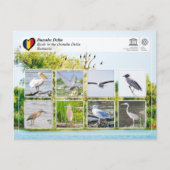 UNESCO WHS - Vogels in de Donaudelta Briefkaart (Voorkant)