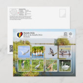 UNESCO WHS - Vogels in de Donaudelta Briefkaart (Voorkant / Achterkant)