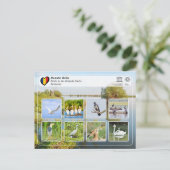 UNESCO WHS - Vogels in de Donaudelta Briefkaart (Staand voorkant)