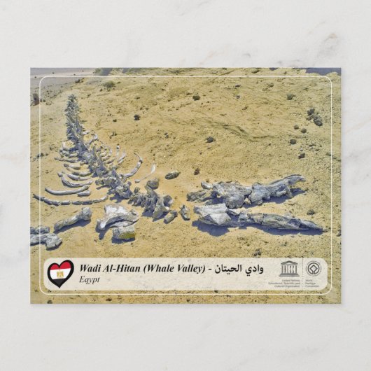 UNESCO WHS - Wadi Al-Hitan (walvisvallei) Briefkaart (Voorkant)