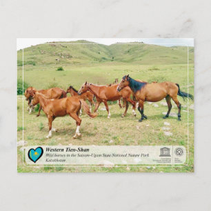 UNESCO WHS - Western Tien-Shan - Sairam-Ugam Briefkaart