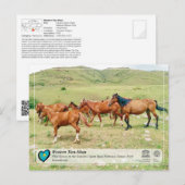 UNESCO WHS - Western Tien-Shan - Sairam-Ugam Briefkaart (Voorkant / Achterkant)