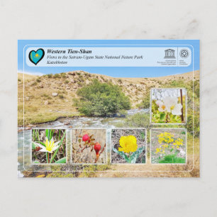 UNESCO WHS - Western Tien-Shan - Sairam-Ugam Briefkaart