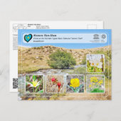 UNESCO WHS - Western Tien-Shan - Sairam-Ugam Briefkaart (Voorkant / Achterkant)