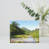 UNESCO WHS - Yakushima - 屋 久 島 Briefkaart (Staand voorkant)