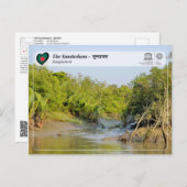 UNESCO WHV - de Sundarbans - সু দ র ব ন Briefkaart (Voorkant / Achterkant)