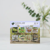 UNESCO WHV - De Sundarbans Briefkaart (Staand voorkant)