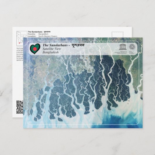 UNESCO WHV - De Sundarbans Briefkaart (Voorkant / Achterkant)
