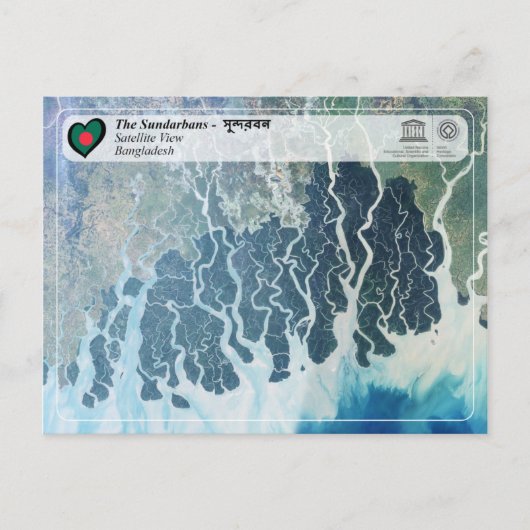 UNESCO WHV - De Sundarbans Briefkaart (Voorkant)