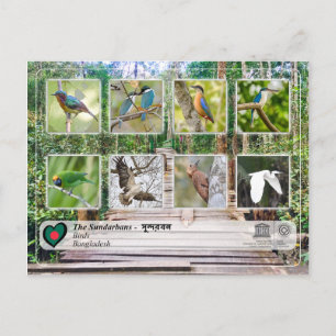 UNESCO WHV - De Sundarbans Briefkaart
