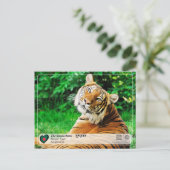 UNESCO WHV - De Sundarbans Briefkaart (Staand voorkant)