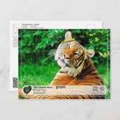UNESCO WHV - De Sundarbans Briefkaart (Voorkant / Achterkant)
