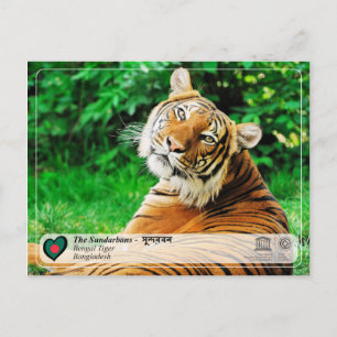 UNESCO WHV - De Sundarbans Briefkaart
