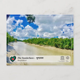 UNESCO WHV - De Sundarbans Briefkaart