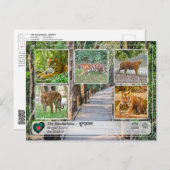 UNESCO WHV - De Sundarbans Briefkaart (Voorkant / Achterkant)
