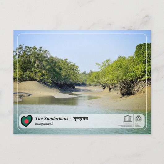 UNESCO WHV - De Sundarbans Briefkaart (Voorkant)