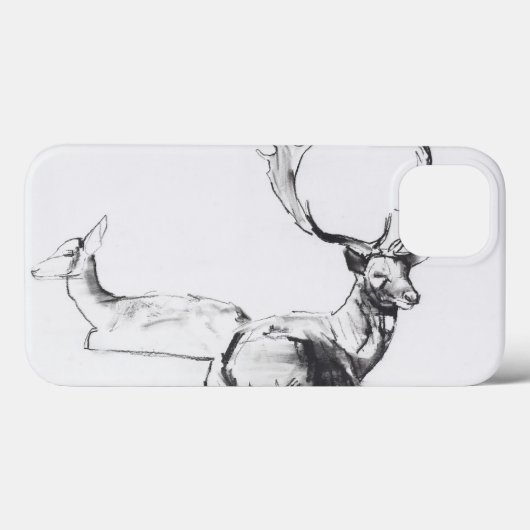 Unexpected Autumn Sun Case-Mate iPhone Case (Achterkant (horizontaal))