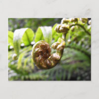 Unfurling Fern Frond