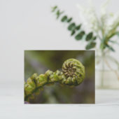 Unfurling Fern Frond Briefkaart (Staand voorkant)