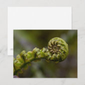 Unfurling Fern Frond Briefkaart (Voorkant / Achterkant)