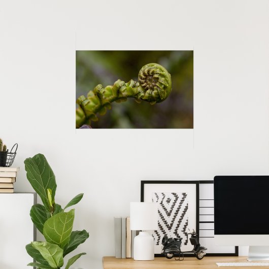 Unfurling Fern Frond Poster (Thuiskantoor)
