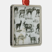 Ungalata of Hoofd Dieren Metalen Ornament (Rechts)