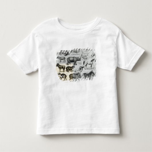 Ungulata of Hoofd Dieren Kinder Shirts (Voorkant)