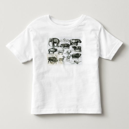 Ungulata of Hoofd Dieren Kinder Shirts (Voorkant)