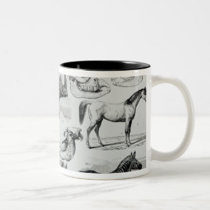 Ungulata of Hoofd Dieren Tweekleurige Koffiemok