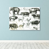 Ungulata of hoofden canvas afdruk (Insitu (Houten vloer))