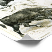 Ungulata of hoofden poster (Hoek)