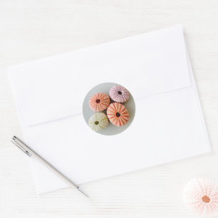 Uni Zee Urchin Small Round Sticker
