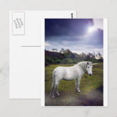 UNICORN BRIEFKAART (Voorkant / Achterkant)