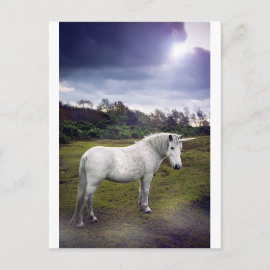 UNICORN BRIEFKAART (Voorkant)