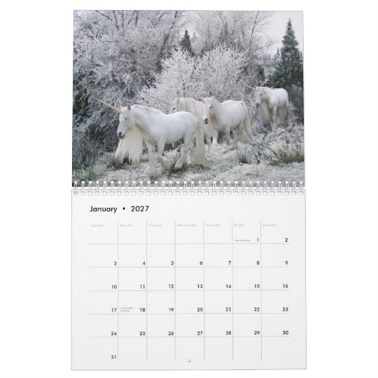 Unicorn Calendar Kalender (Jan 2027)