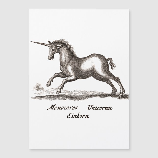 Unicorn Classic Running Magic Woodland Creature (Voorkant)