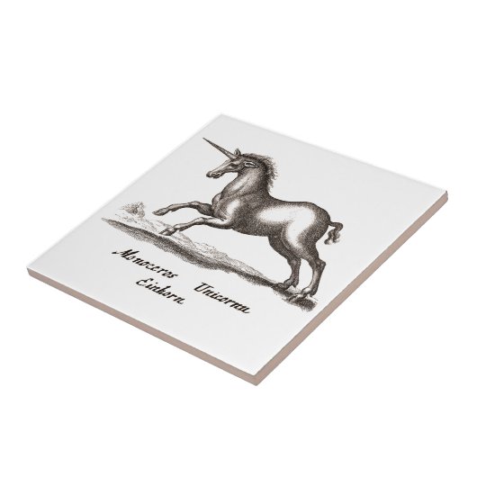 Unicorn Classic Running Magic Woodland Creature Tegeltje (Zijkant)