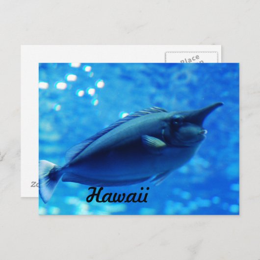 Unicorn Fish Briefkaart (Voorkant / Achterkant)